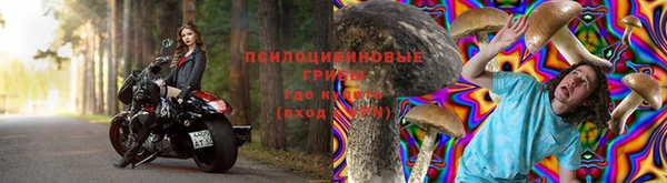 амфетамин Богородицк